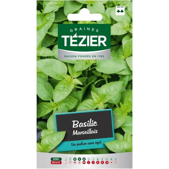 Basilic marseillais