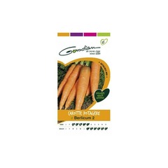 Gondian - carotte potagère berlicum 2