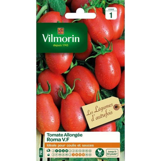 Tomate roma vl 1 legumes d'autrefois
