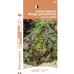 France graines - laitue batavia rouge grenobloise