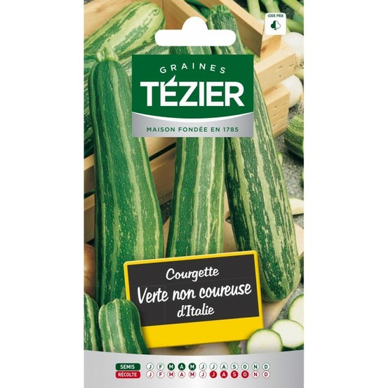 Courgette verte non coureuse ditalie