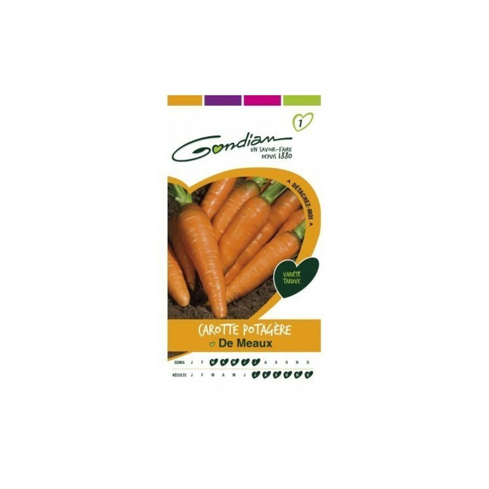 Carotte potagère de meaux orange