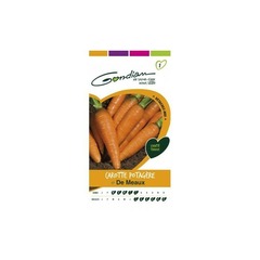 Gondian - carotte potagère de meaux orange