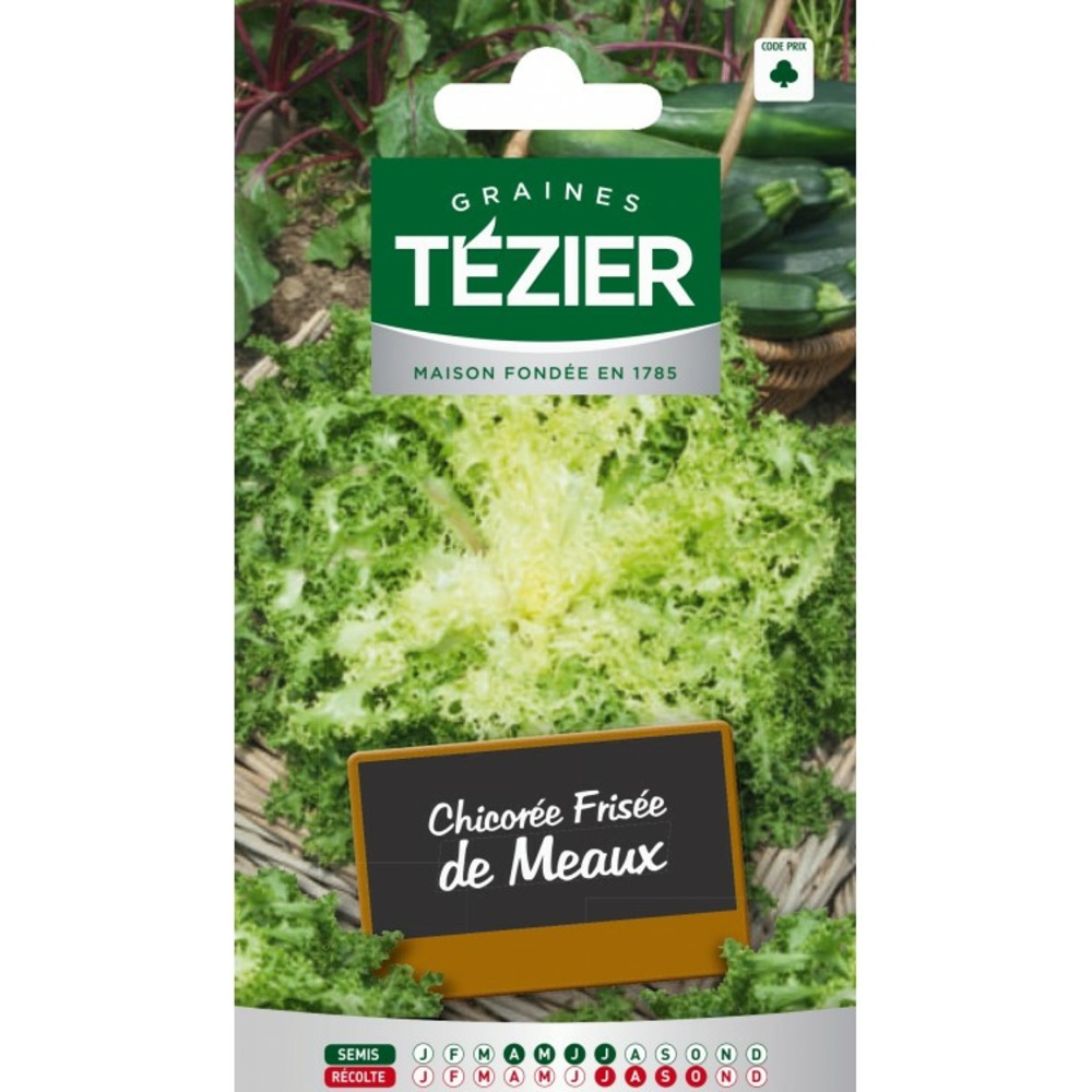 Chicorée frisée de meaux