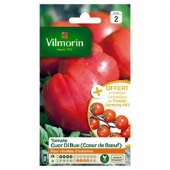 Vilmorin - tomate cuor di bue vl 2 ech harmony f1