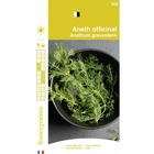France graines - aneth officinale