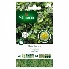 Vilmorin - theier