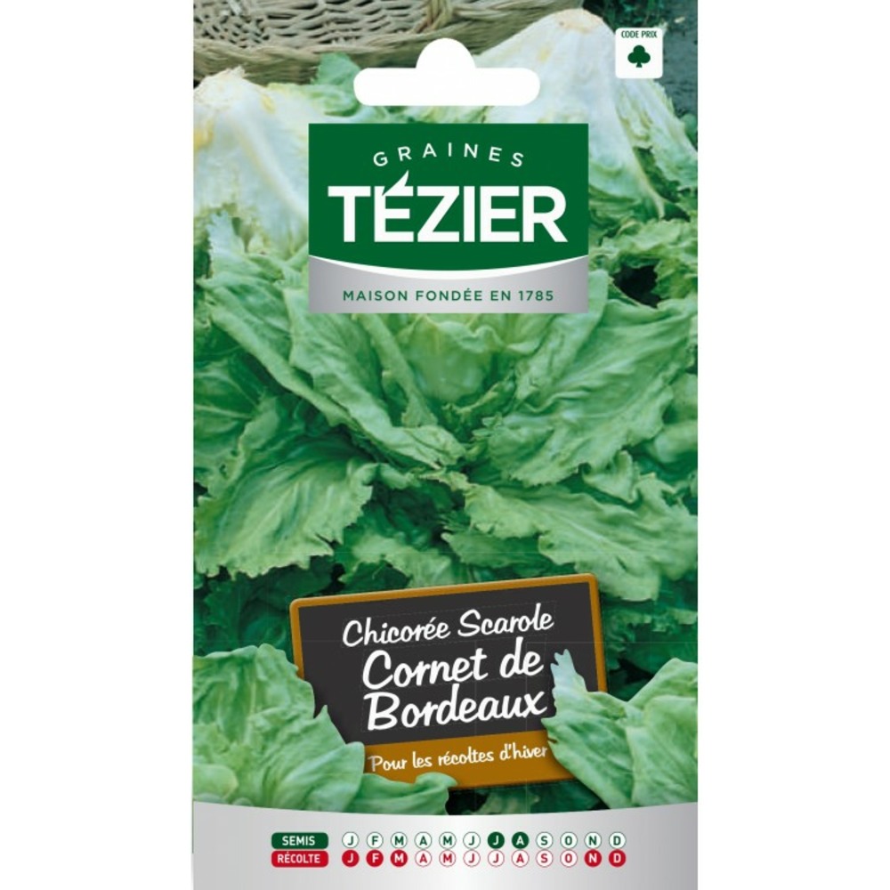 Chicorée scarole cornet de bordeaux