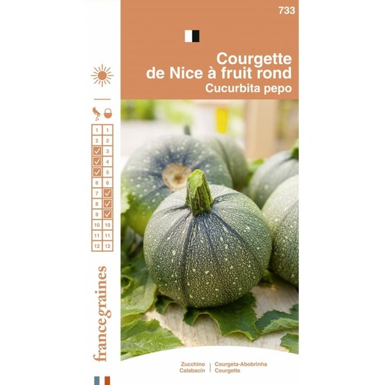 France graines - courgette de nice