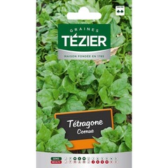 Tezier - tétragone cornue