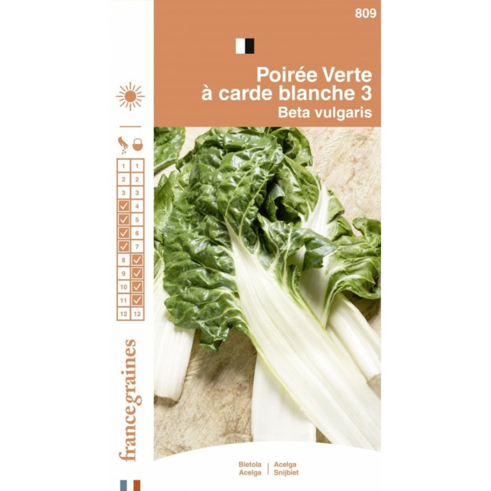 France graines - poirée verte carde blanche