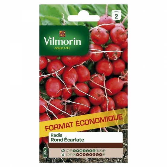 Radis rond ecarlate gm