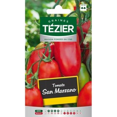 Tezier - tomate san marzano
