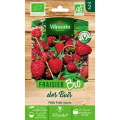 Vilmorin - fraisier bio vl 2
