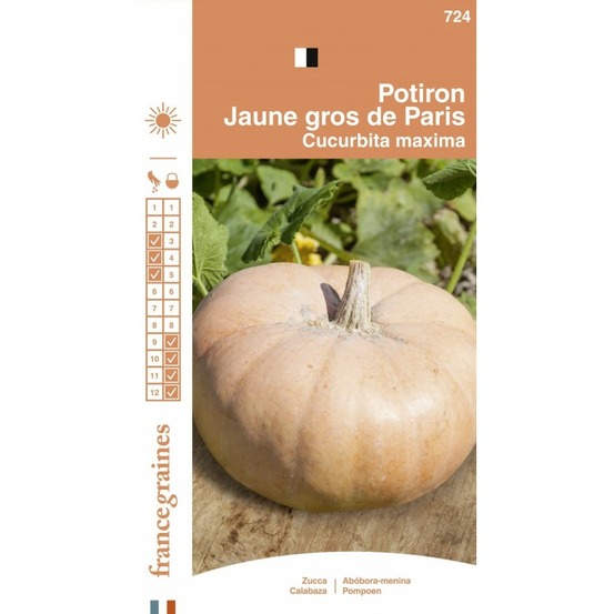 France graines - potiron jaune gros de paris