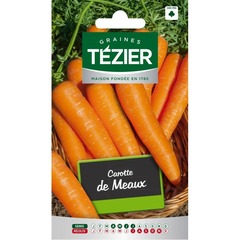 Tezier - carotte de meaux