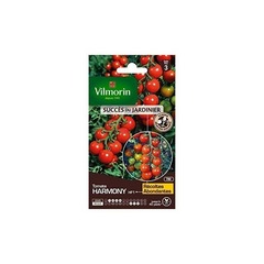 Vilmorin - tomate harmony