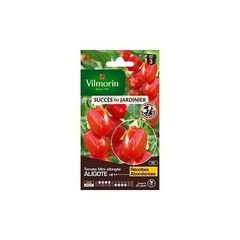 Vilmorin - tomate aligote hf1