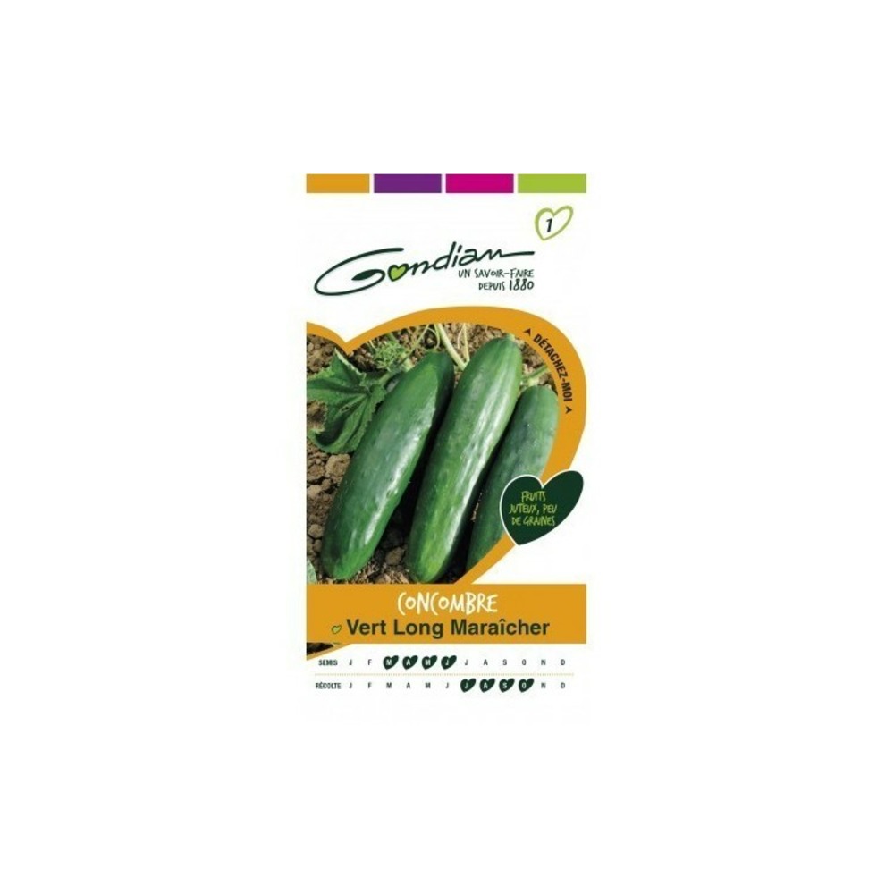 Concombre vert long maraicher