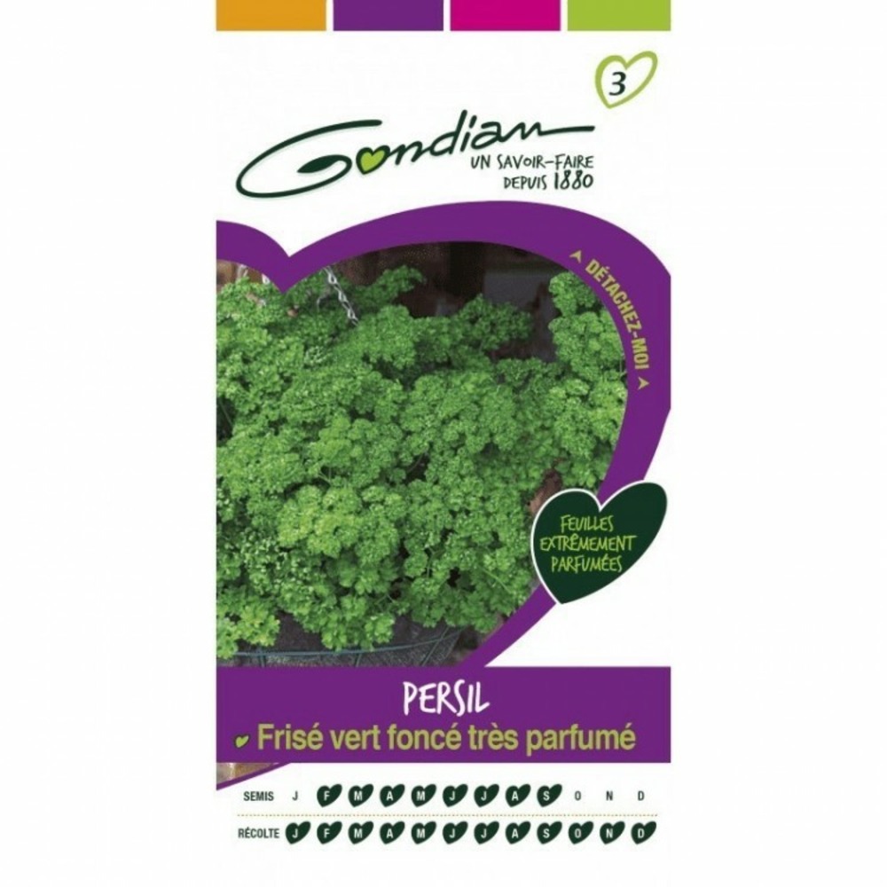Persil frisé vert foncé
