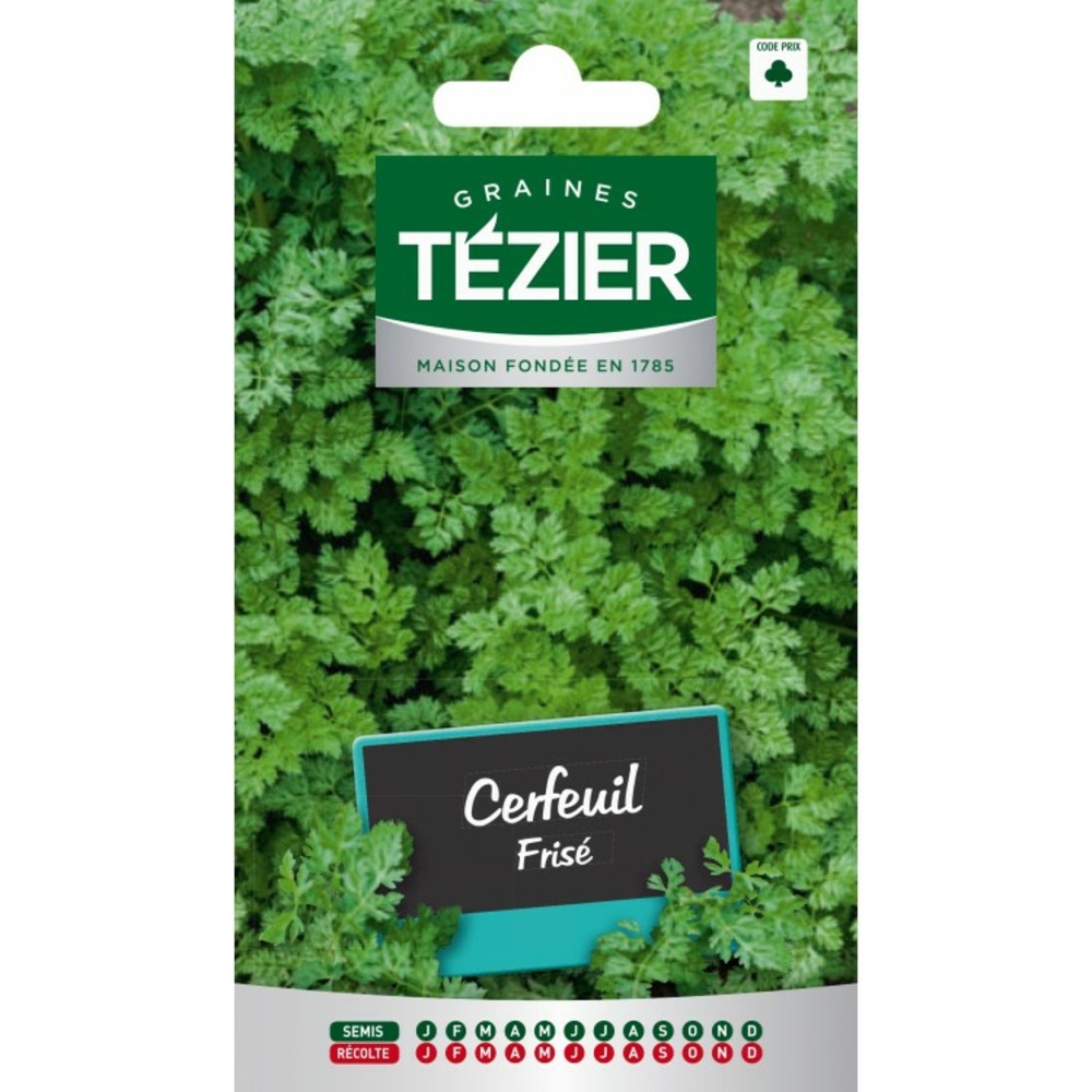 Cerfeuil frisé