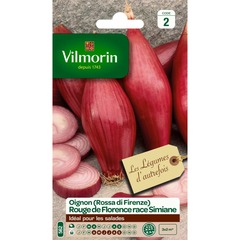 Vilmorin - oignon rouge florence