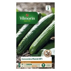 Vilmorin - concombre murat hf1