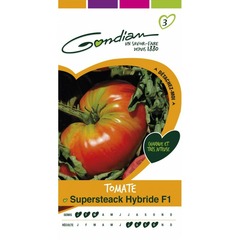 Gondian - tomate supersteak hf1