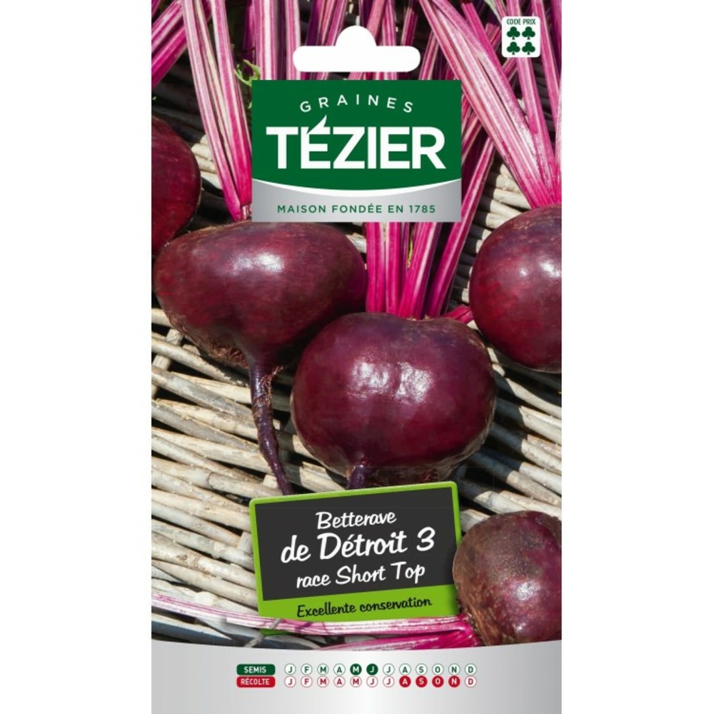 Betterave de détroit 3 race short top