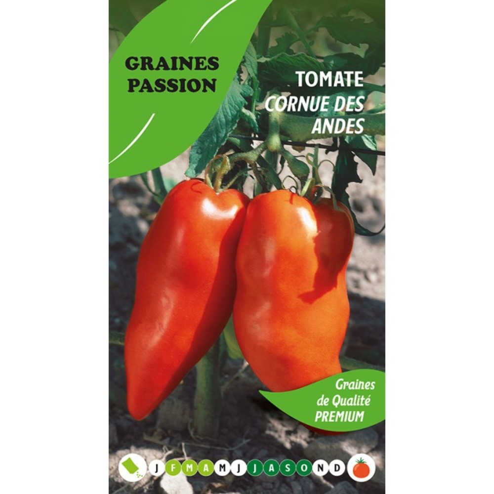 Graines passion, sachet de graines tomate cornue des andes