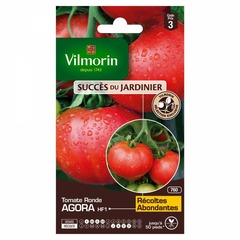 Vilmorin - tomate agora hf1 (création vilmorin - ) - sdj