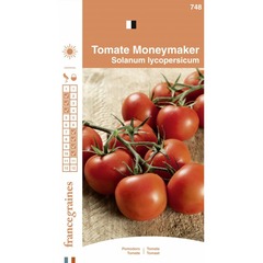 France graines - tomate money maker