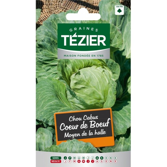 Chou cabus cœur de bœuf moyen de la halle