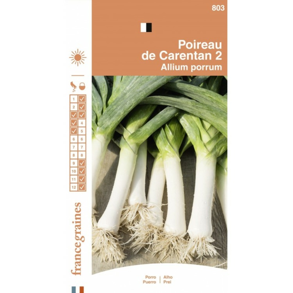 France graines - poireau de carentan