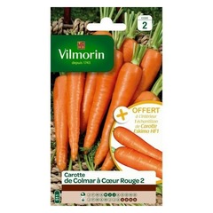 Vilmorin - carotte de colmar à cœur rouge 2