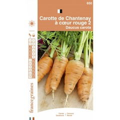 France graines - carotte chantenay
