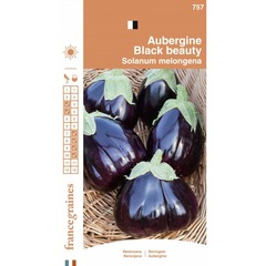 France graines - aubergine black beauty