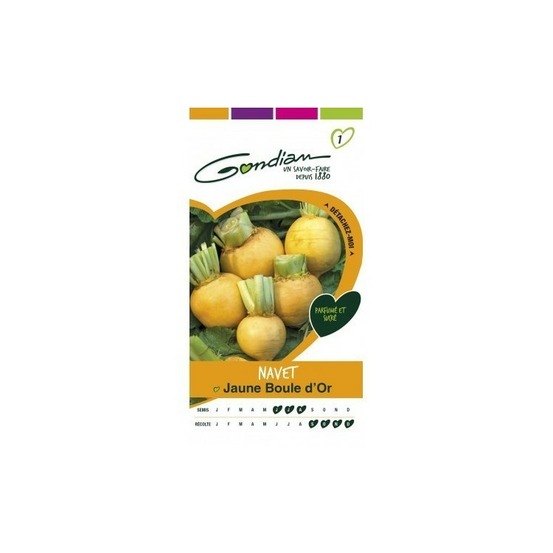 Navet boule d'or jaune
