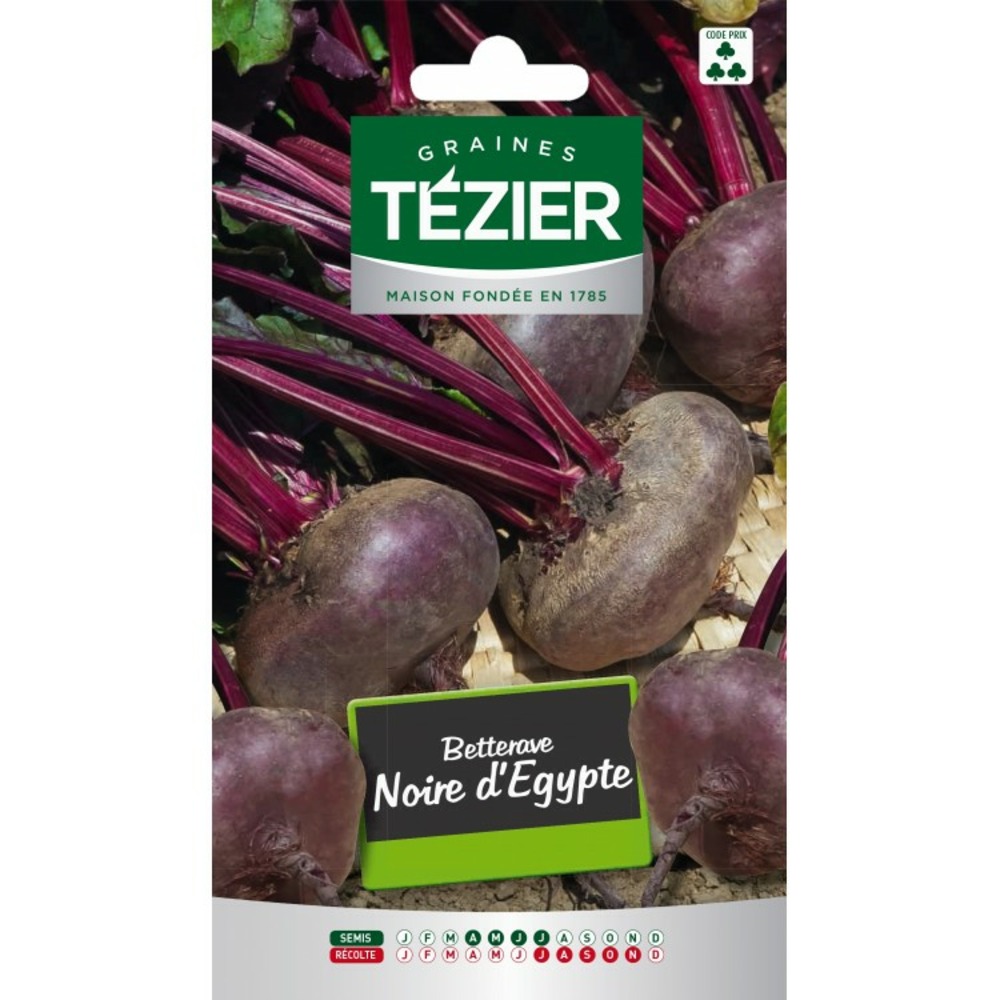 Betterave noire d'egypte fort grammage