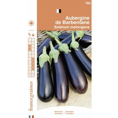 France graines - aubergine de barbentane