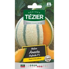 Tezier - melon anasta hf1