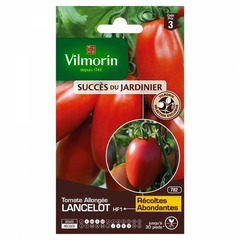 Vilmorin - tomate lancelot hf1 (obtention vilmorin - ) - sdj