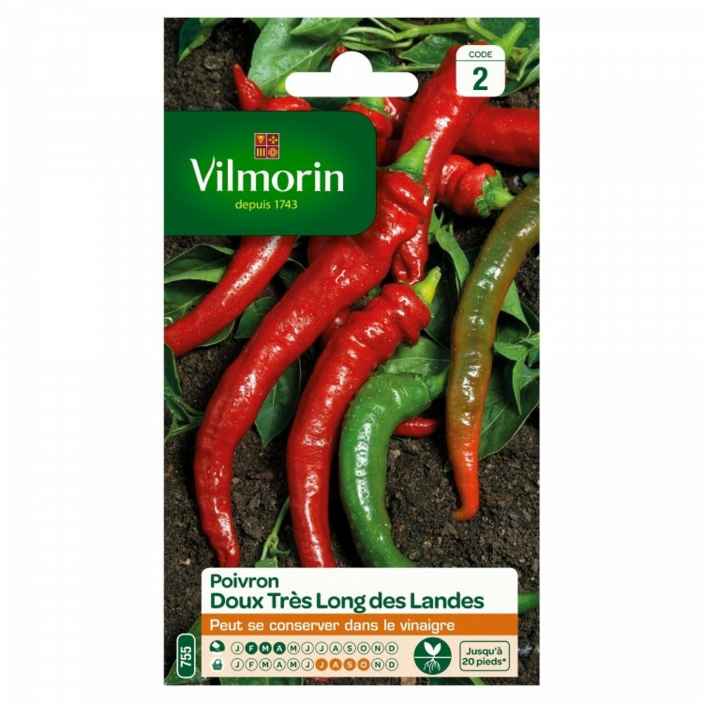 Poivron doux très long des landes