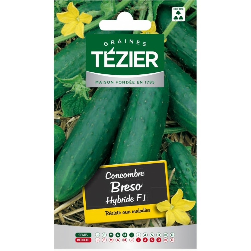 Concombre breso hf1