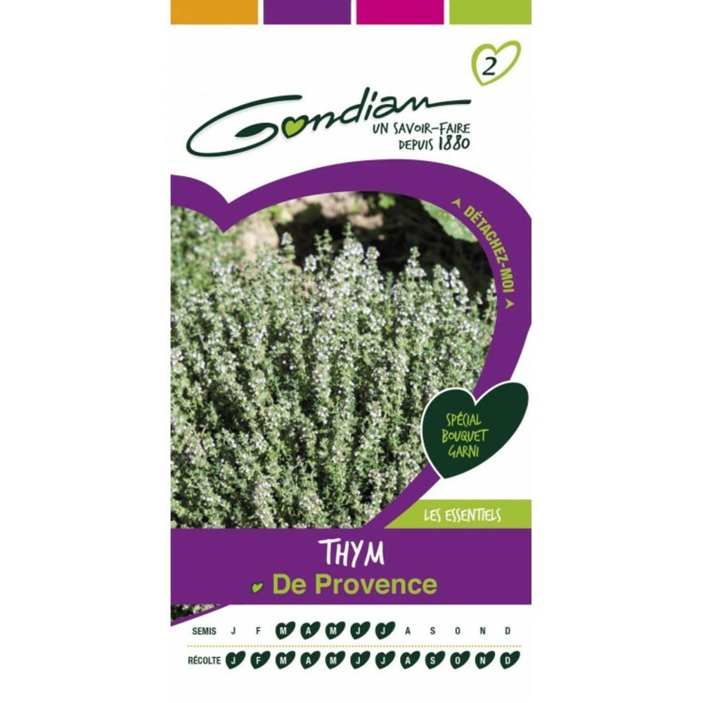 Thym de provence