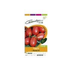 Gondian - tomate roma
