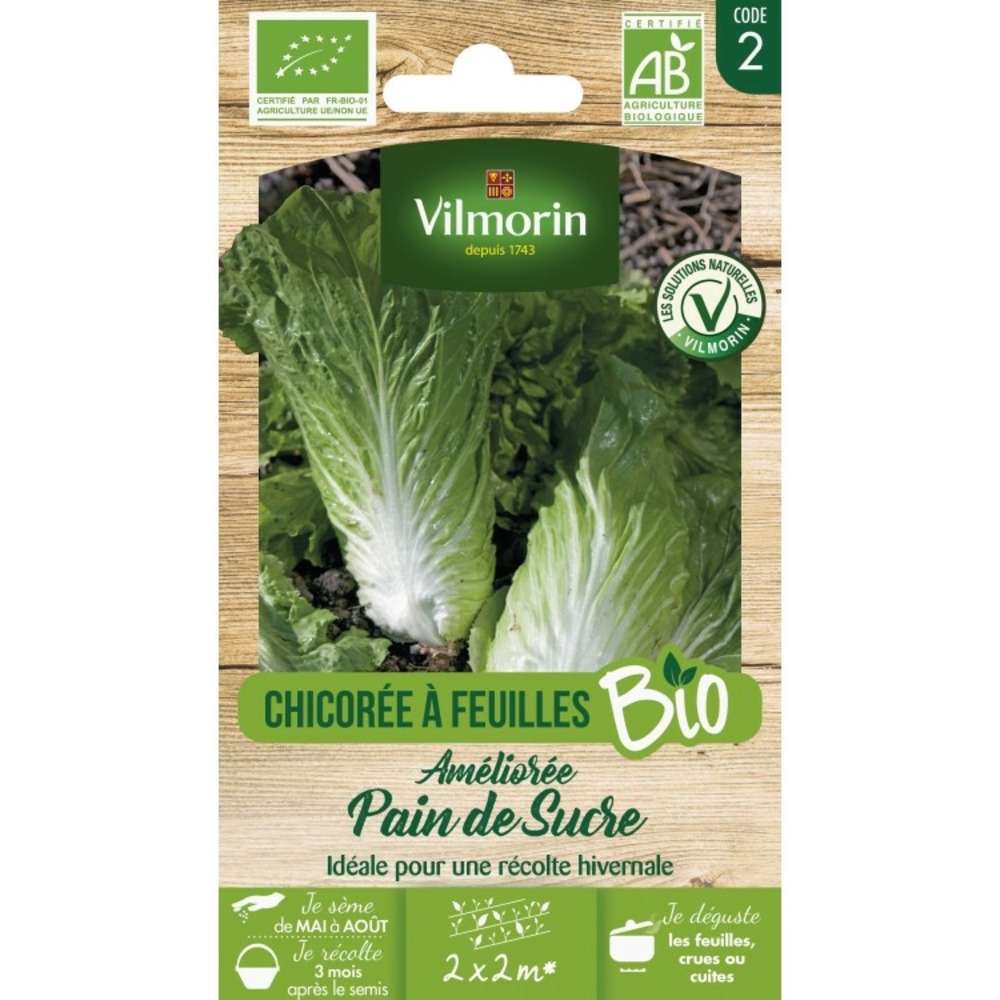 Vilmorin chicoree pain de sucre bio