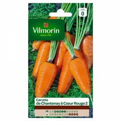 Vilmorin - sachet graines carotte de chantenay à coeur rouge 2