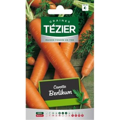 Tezier - carotte berlikum