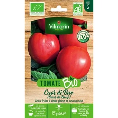 Vilmorin - tomate cuor di bue bio vl 2